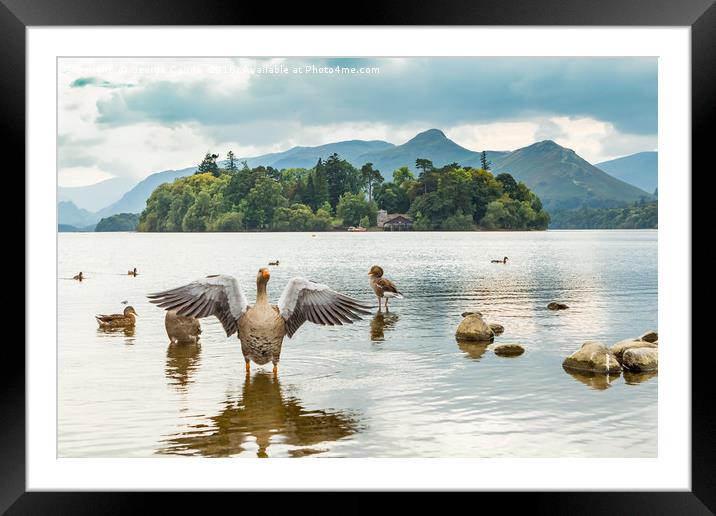 Geese on Derwent Water Framed Mounted Print by George Cairns