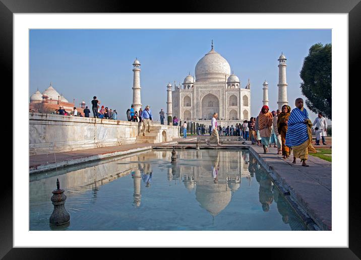 Taj Mahal Framed Mounted Print by Arterra 