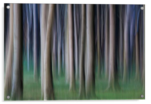 Ghost Wood Acrylic by Arterra 