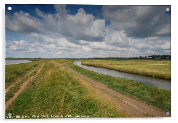 Open Suffolk Waterways Acrylic by Paul Fleet