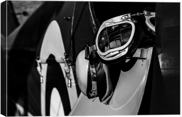 Tiger Moth Flying goggles Canvas Print by Oxon Images