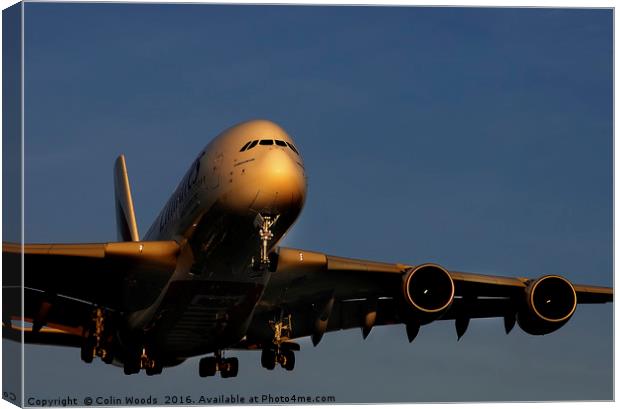 Airbus A380 landing at Heathrow Canvas Print by Colin Woods