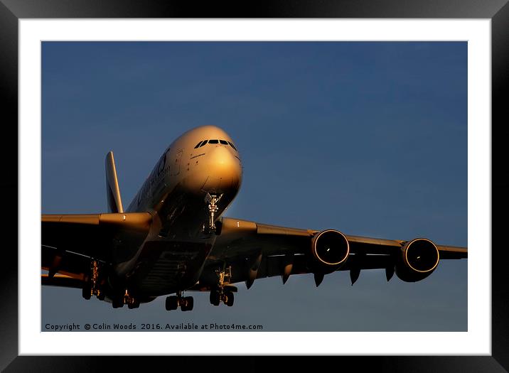 Airbus A380 landing at Heathrow Framed Mounted Print by Colin Woods