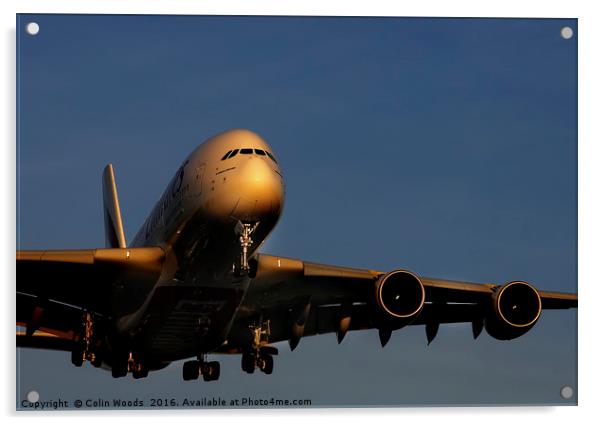Airbus A380 landing at Heathrow Acrylic by Colin Woods