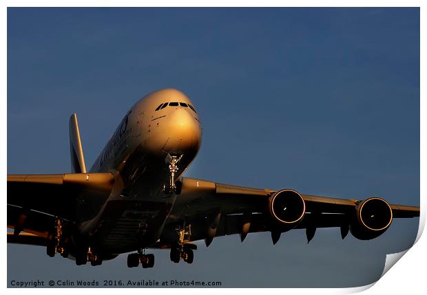 Airbus A380 landing at Heathrow Print by Colin Woods