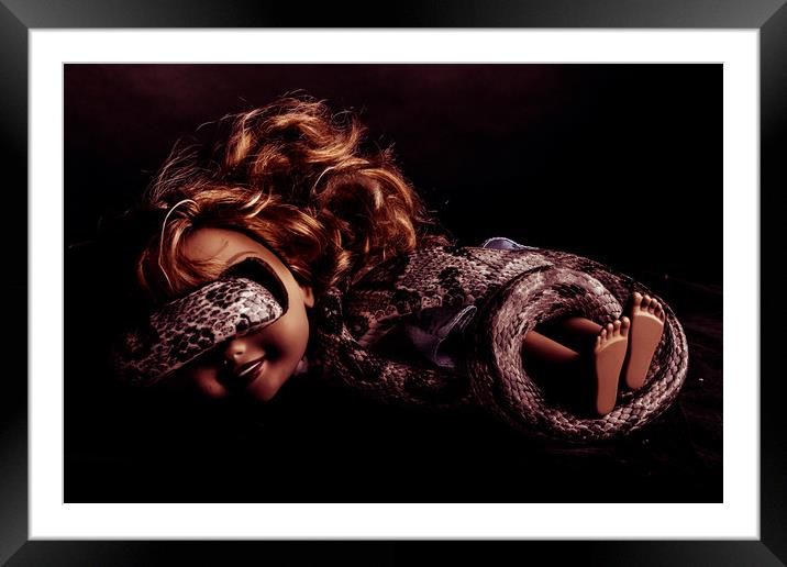 Snake Eye Framed Mounted Print by Neal P
