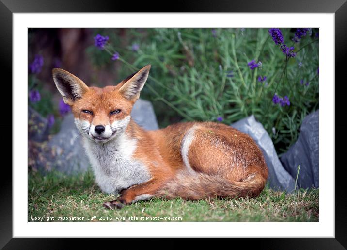 Say cheese - posing for the camera Framed Mounted Print by Jonathon Cuff