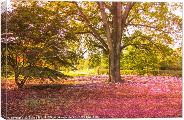 Painterly Pink Blossoms Canvas Print by Zahra Majid