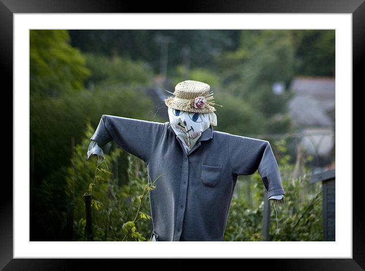 Scarecrow Framed Mounted Print by Julie Skone
