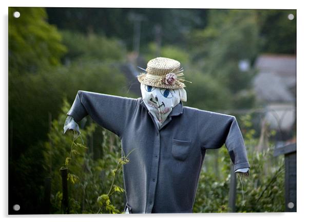 Scarecrow Acrylic by Julie Skone