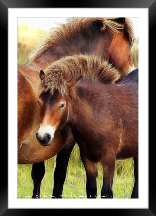 Exmoor Ponies Framed Mounted Print by Philip Gough
