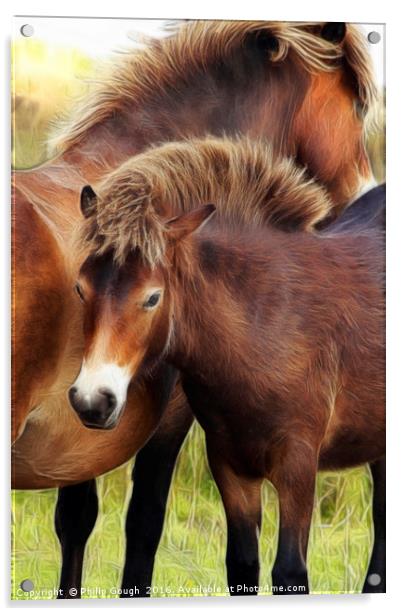 Exmoor Ponies Acrylic by Philip Gough