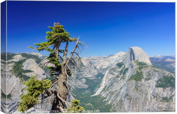 The beautiful Glacier Point Canvas Print by Chon Kit Leong
