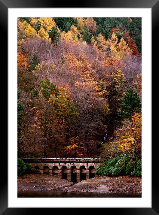 Autumn at Derwent Reservoir Framed Mounted Print by Jeni Harney