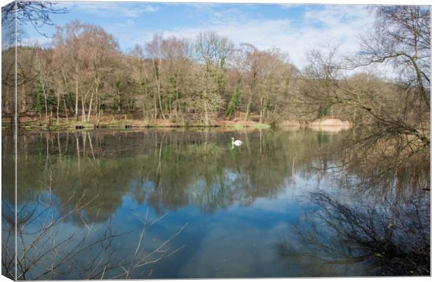 Cannop Ponds in the Forest of Dean Gloucestershire Canvas Print by Nick Jenkins