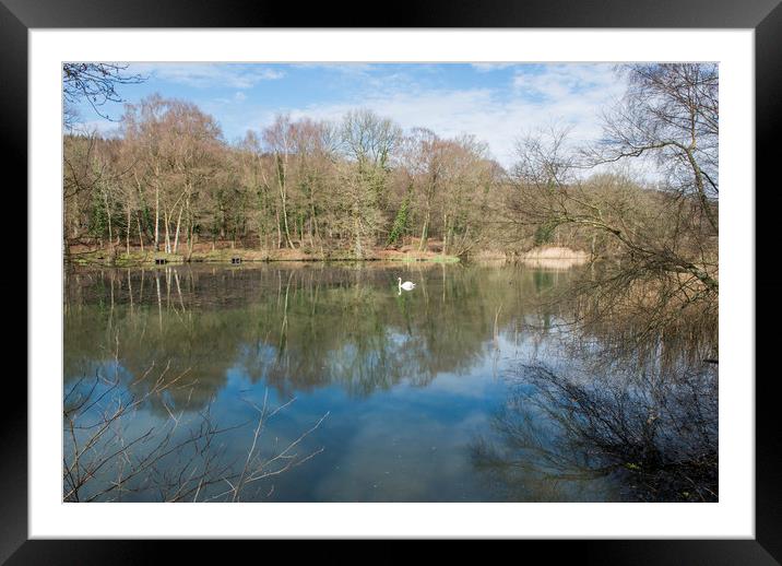 Cannop Ponds in the Forest of Dean Gloucestershire Framed Mounted Print by Nick Jenkins