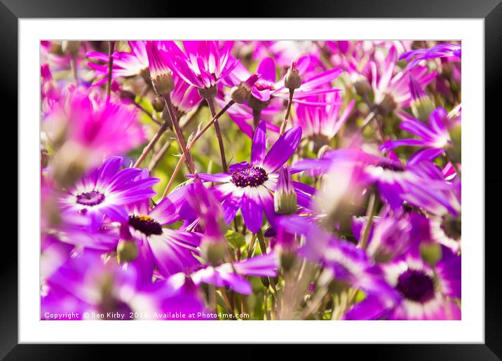 Summer Floral Patters Framed Mounted Print by Ben Kirby