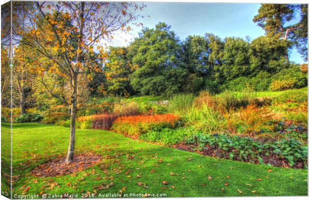 Autumn Prettiness Canvas Print by Zahra Majid