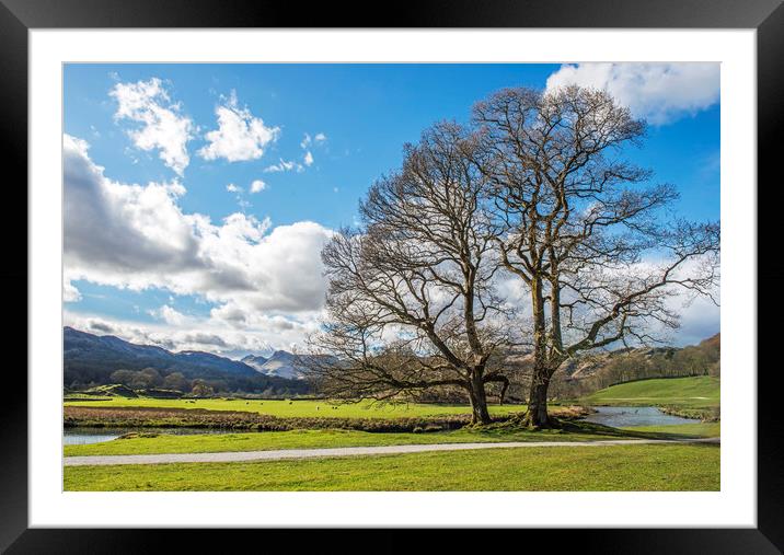 The Great Langdale Valley Framed Mounted Print by Nick Jenkins