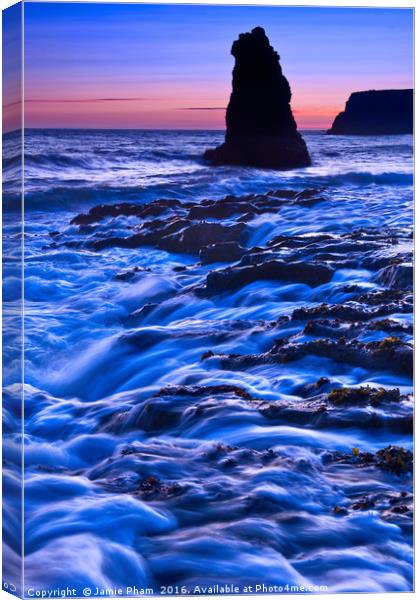 Dramatic view of a sea stack in Davenport Beach, S Canvas Print by Jamie Pham