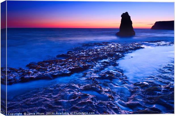Dramatic view of a sea stack in Davenport Beach, S Canvas Print by Jamie Pham