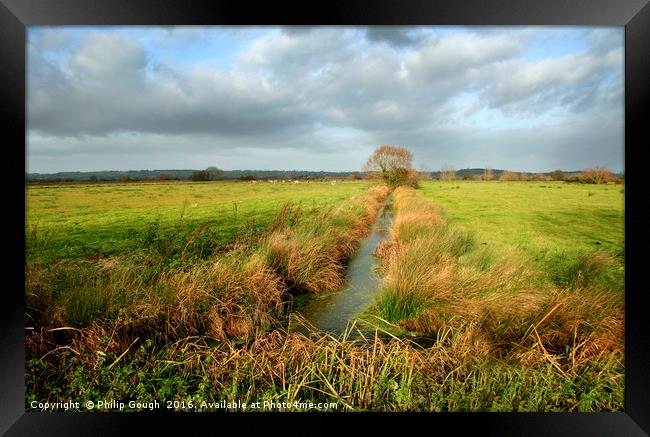 A Somerset Levels Rhyne Framed Print by Philip Gough