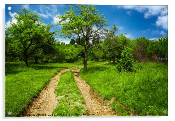 Rural road through meadow Acrylic by Ragnar Lothbrok