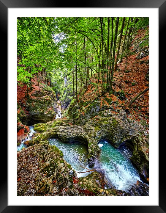 Canyon with a river Framed Mounted Print by Ragnar Lothbrok