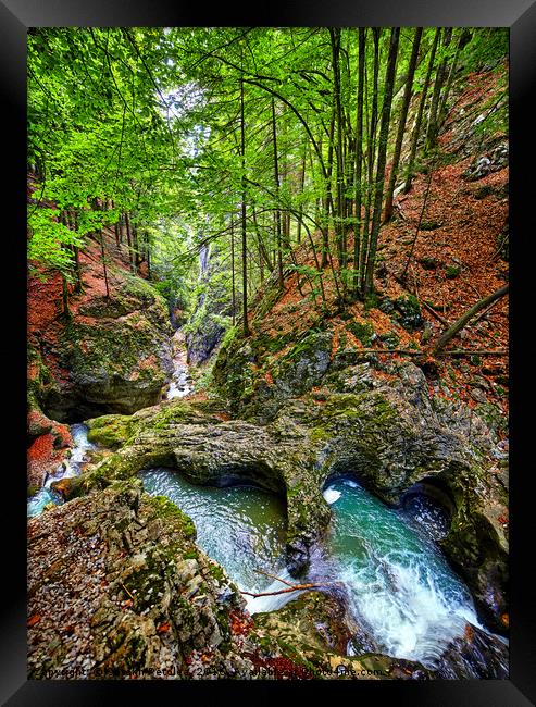 Canyon with a river Framed Print by Ragnar Lothbrok