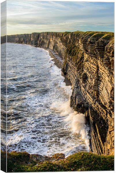 Limestone Cliffs at Nash Point Glamorgan Coast Canvas Print by Nick Jenkins