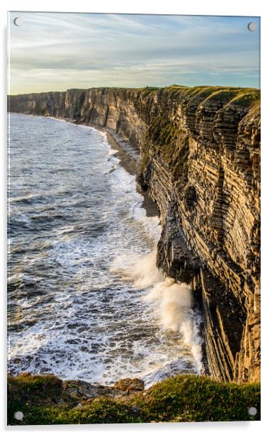 Limestone Cliffs at Nash Point Glamorgan Coast Acrylic by Nick Jenkins
