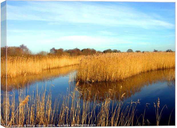 Shapwick on The Somerset Levels Canvas Print by Philip Gough