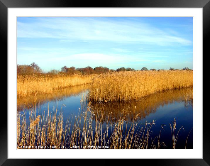 Shapwick on The Somerset Levels Framed Mounted Print by Philip Gough