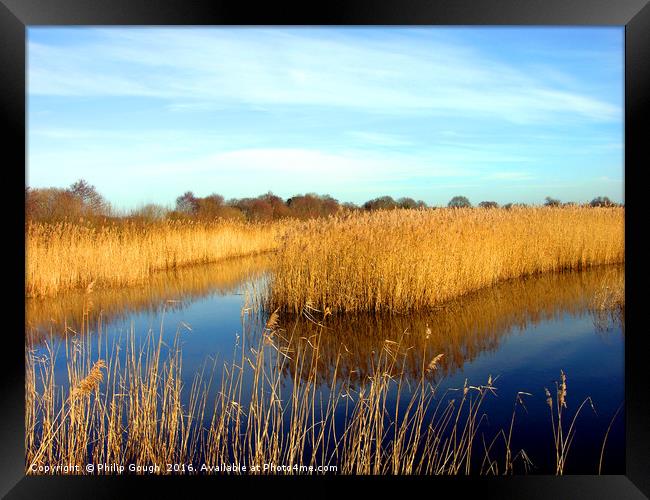 Shapwick on The Somerset Levels Framed Print by Philip Gough
