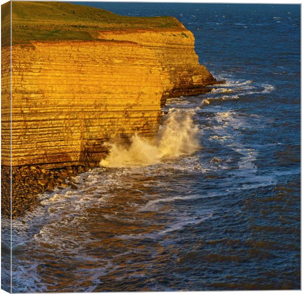 The Cliffs at Nash Point Glamorgan Heritage Coast  Canvas Print by Nick Jenkins