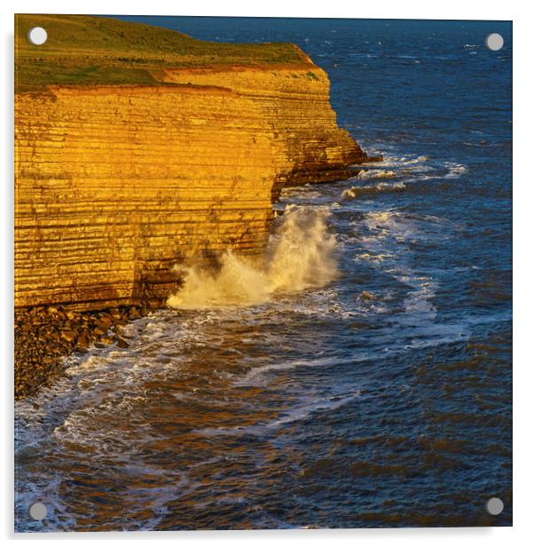 The Cliffs at Nash Point Glamorgan Heritage Coast  Acrylic by Nick Jenkins