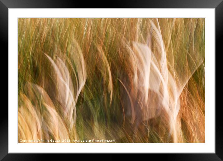 Wind in the Grasses Framed Mounted Print by Philip Gough