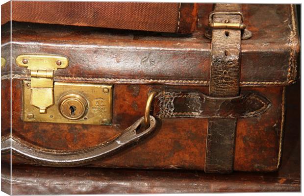 Old Leather Gun Case Canvas Print by Will Black