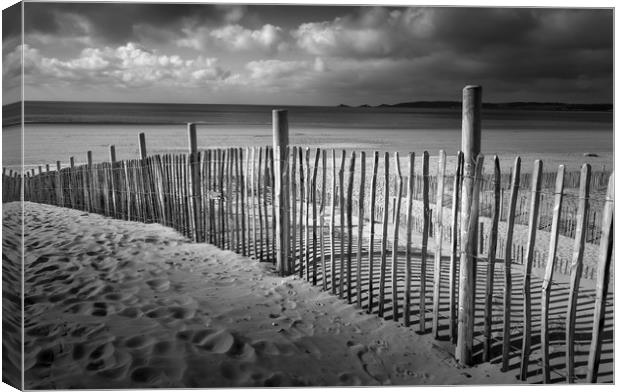Swansea Bay dune defence Canvas Print by Leighton Collins