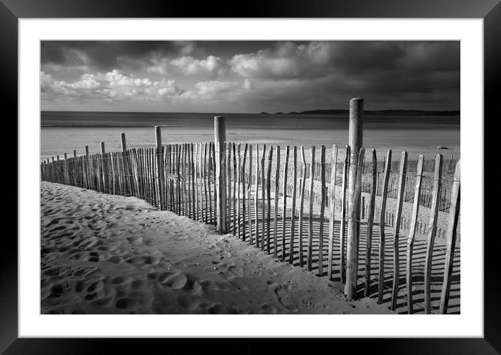 Swansea Bay dune defence Framed Mounted Print by Leighton Collins