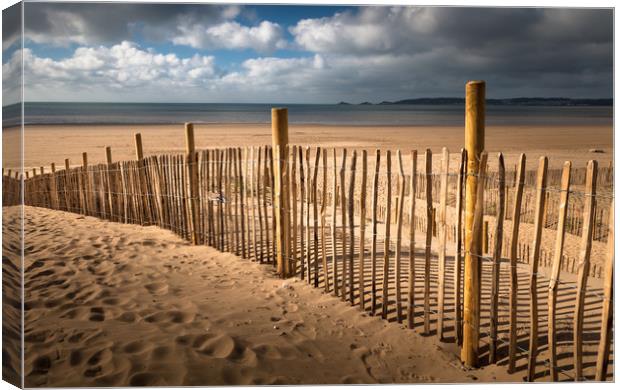Swansea Bay dune defence Canvas Print by Leighton Collins