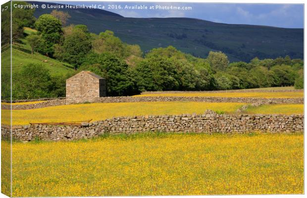 Stone barn and dry stone walls, Swaledale, Yorkshi Canvas Print by Louise Heusinkveld