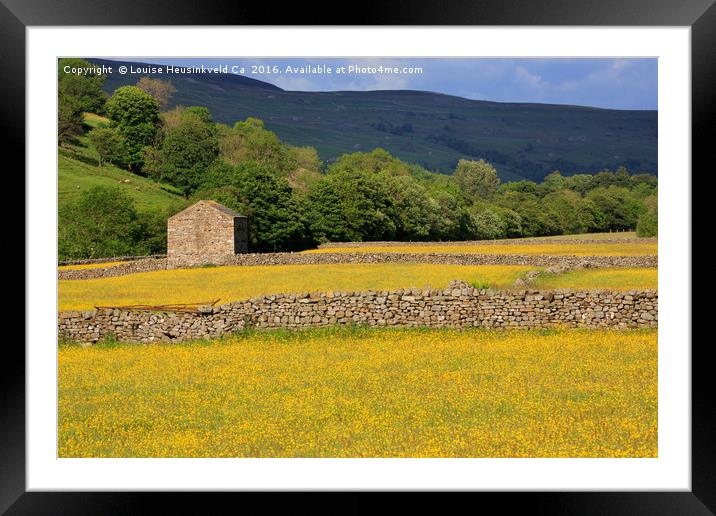 Stone barn and dry stone walls, Swaledale, Yorkshi Framed Mounted Print by Louise Heusinkveld