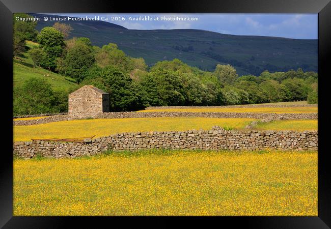 Stone barn and dry stone walls, Swaledale, Yorkshi Framed Print by Louise Heusinkveld