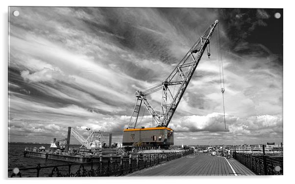 Ryde a big crane..! Acrylic by Rob Hawkins