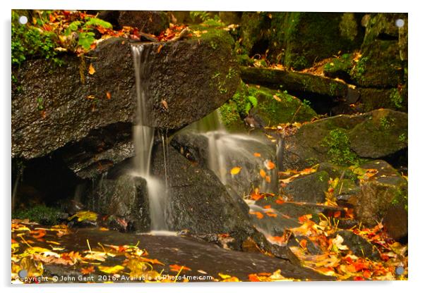 Autumnal Cascade Acrylic by John Gent