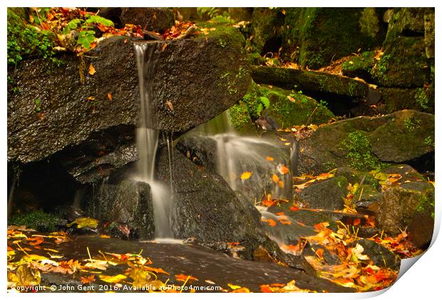 Autumnal Cascade Print by John Gent