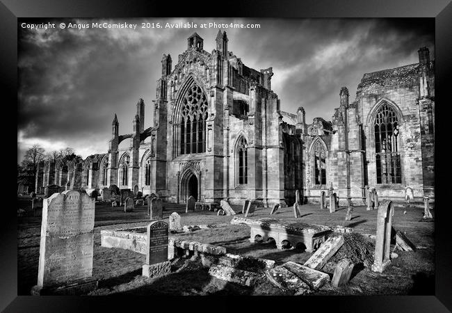 Ruins of Melrose Abbey, Scottish Borders Framed Print by Angus McComiskey