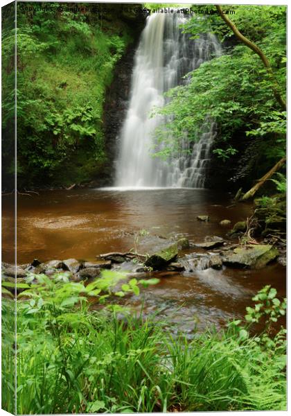 WATER SHEET Canvas Print by andrew saxton