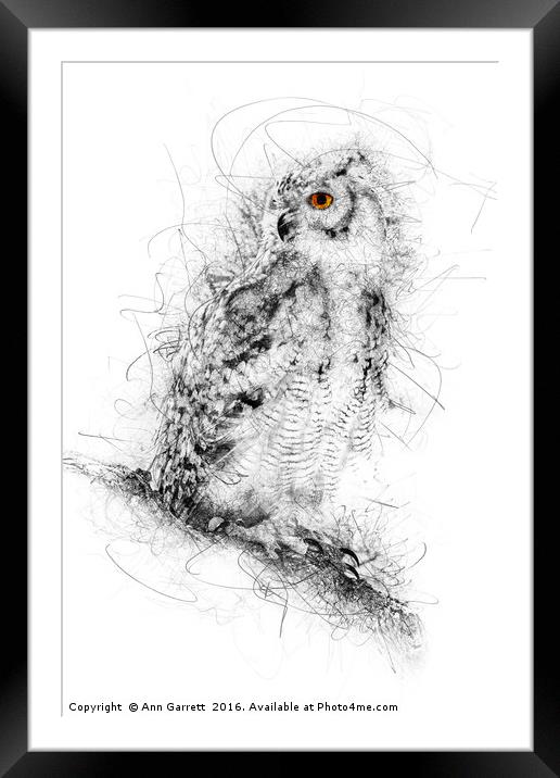 Owl Sketch Framed Mounted Print by Ann Garrett
